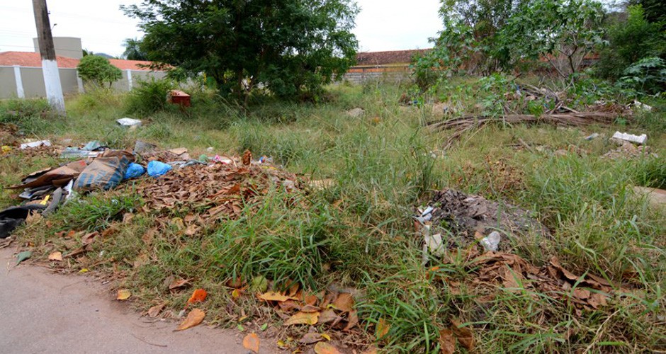 Terrenos sujos poderão ser denunciados por meio se serviço telefônico da Prefeitura (Foto: Reprodução)